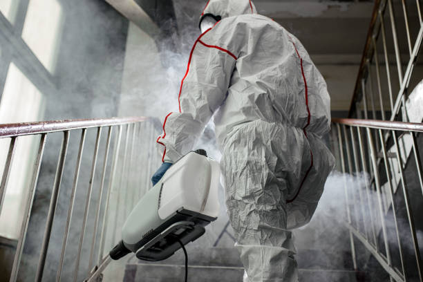 Best Air Quality Testing for Mold Spores  in Clearwater, SC